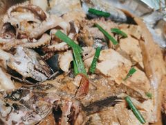 -天盛海鲜烧烤城·特色烤海鲜(开发区店)