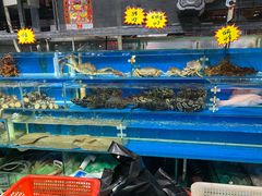 -岳各庄批发市场(西四环中路店)