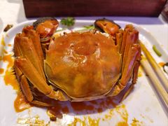 -杨氏青龙虾·羊蝎子(托乐嘉店)