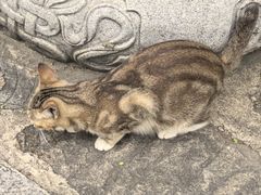 -宝通禅寺