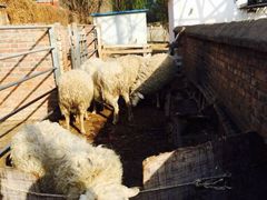 iphone_upload_pic-意大利农场度假村