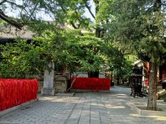 -红螺寺
