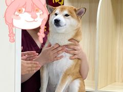-德元·美联众合24小时动物医院(总院)