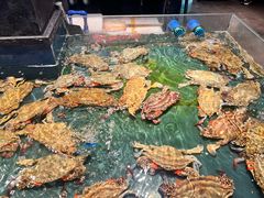 -龙宴海鲜城(经中路店)