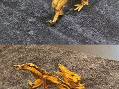 -浙江西湖美术馆