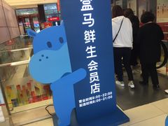 -盒马鲜生(大成店)