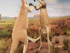 -陕西自然博物馆