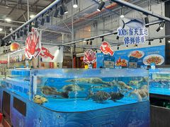 -滋粥楼·顺德菜(番禺广场总店)