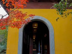 -慧因高丽寺