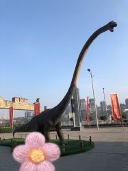 -恐龙探索乐园(磁器口店)