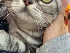 -大脸鸭记鸭血粉丝(花园城店)