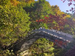 -阿哈湖国家湿地公园