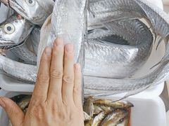 -畲乡一品鱼府土菜馆