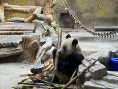 -常州淹城野生动物世界