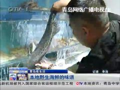 -宏源鑫海鲜餐厅·海景婚宴厅(石老人店)