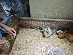 -嘉兴海底世界