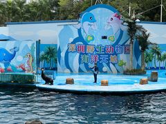 -深圳野生动物园
