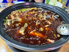 -金海椒罐罐鲢鱼(东方桂苑店)