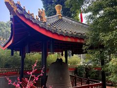 -峨眉山报国寺