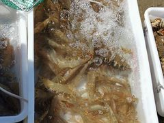 -东山码头