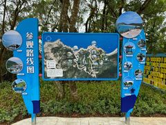 -广东惠东海龟国家级自然保护区