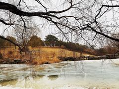 -北京西山国家森林公园