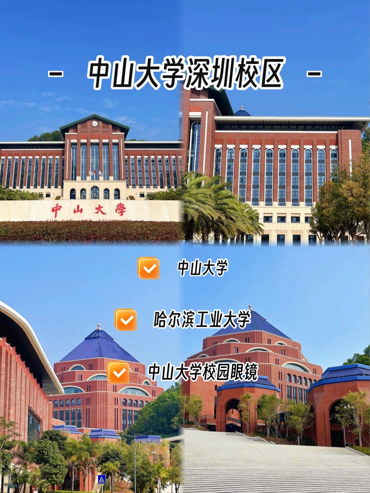 中山大学(深圳校区)