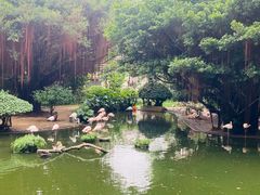 -九龙公园
