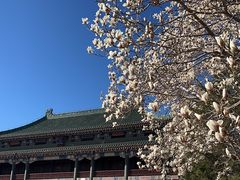 -国家图书馆·古籍馆