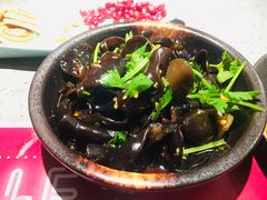 爽口云耳-鱼上·烤鱼(万象城店)