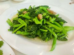 炒时蔬-日日香卤鹅饭店·澄海狮头鹅(澄海店)
