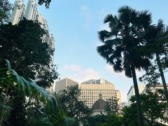 -终审法院