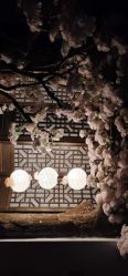 -盘子女人坊生日照·摄影馆(浦东店)