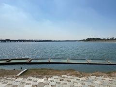 -丁香湖公园