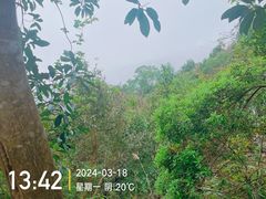 -梧桐山风景名胜区