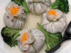 -潮乐轩