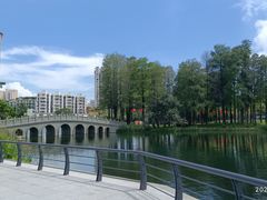 -四海公园(南山区)