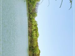 -昆山城市生态森林公园