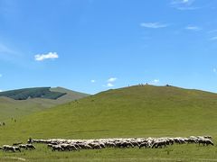 -塞罕坝国家级自然保护区