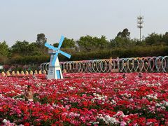 -盈香心动乐园