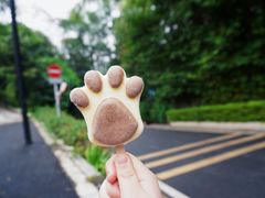 -广州市白云山风景名胜区