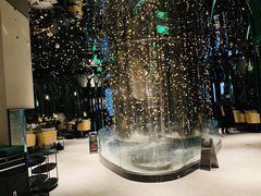 -凤园椰珍·臻品椰子鸡(保利时光里店)
