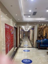 -碧莲盛·不剃发植发