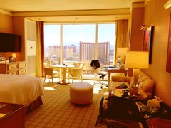 -拉斯维加斯永利酒店