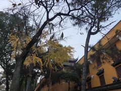 -灵岩山风景区