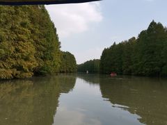 -上海海湾国家森林公园