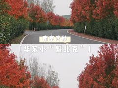 -南京枫彩漫城