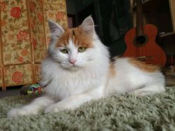 -梵初·STUDIO婚纱摄影(通州万达店)