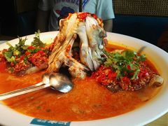 -坛宗剁椒鱼头(河西王府井店)