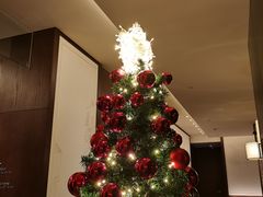 -丽晶轩中餐厅(重庆丽晶酒店)